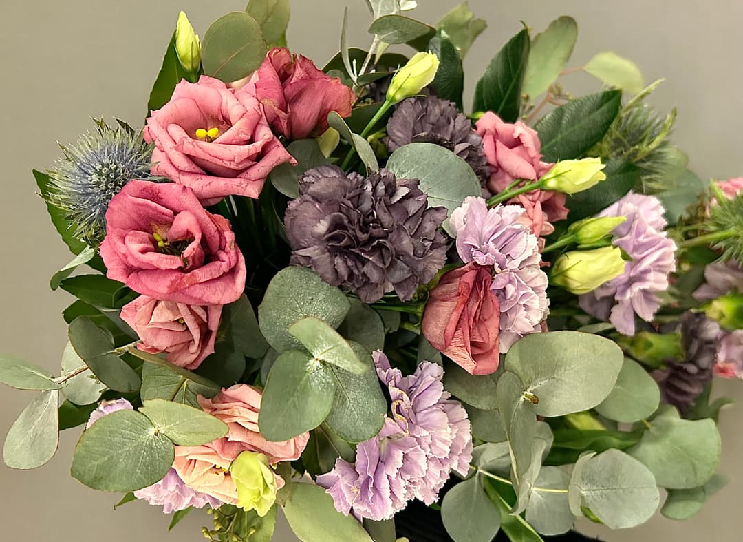 Close-up of peach colored flowers